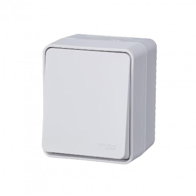 Переключатель проходной 1-кл. ОП AtlasDesign PROFI IP54 10AX бел. SE ATN540161
